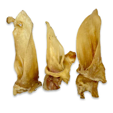 Lamb Ear (no fur)