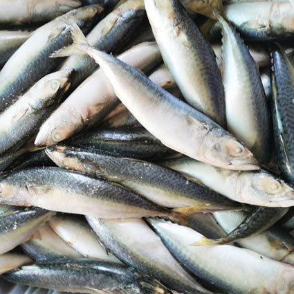 1kg Bag of Frozen Raw Sprats